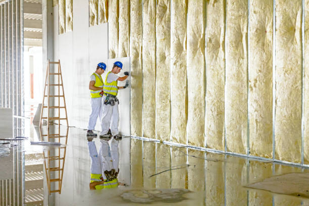 Best Insulation Installation Services in Rapid City, SD